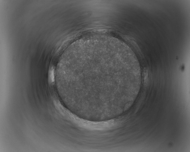 X0000116120042201001040959