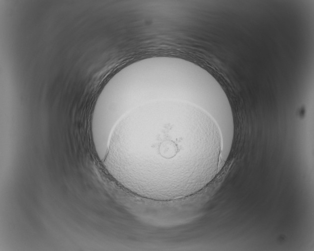 X0000116120043201001040959