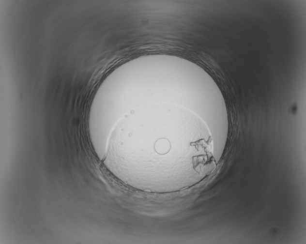 X0000116120045201001040959