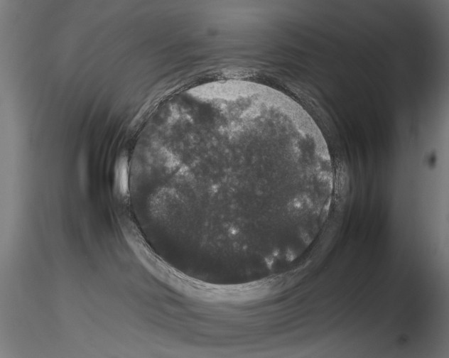 X0000116120046201001040959