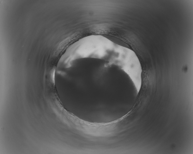 X0000116120047201001040959