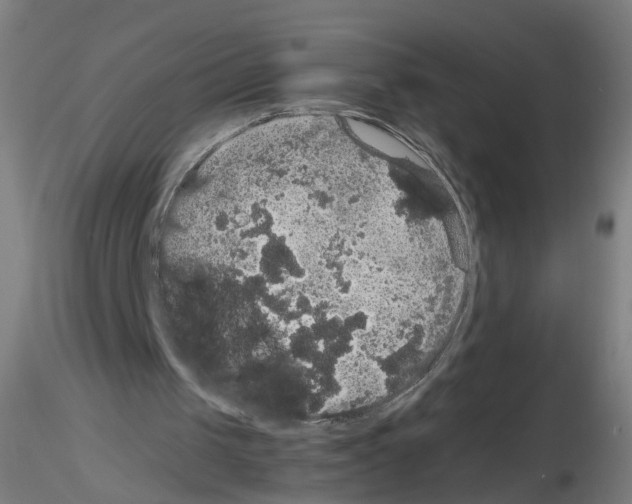 X0000116120049201001040959