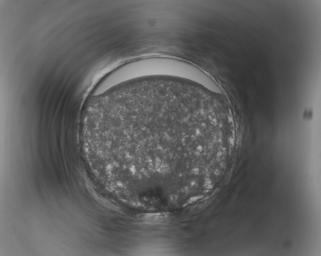 X0000116120050201001040959