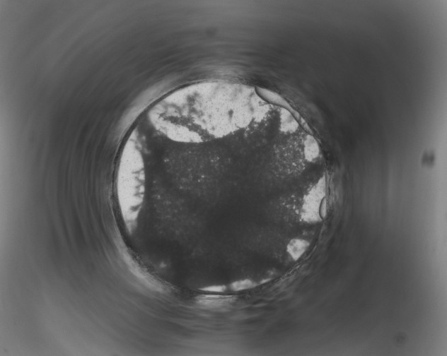 X0000116120051201001040959