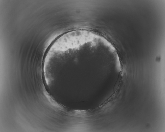 X0000116120052201001040959