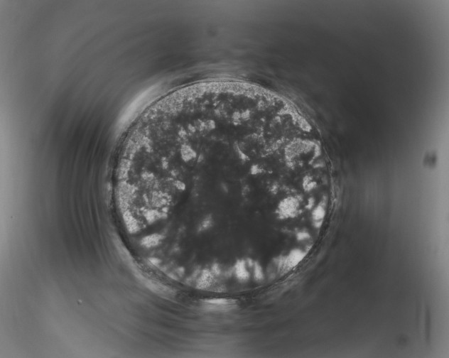 X0000116120053201001040959