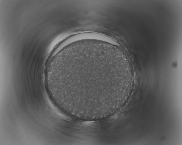 X0000116120054201001040959