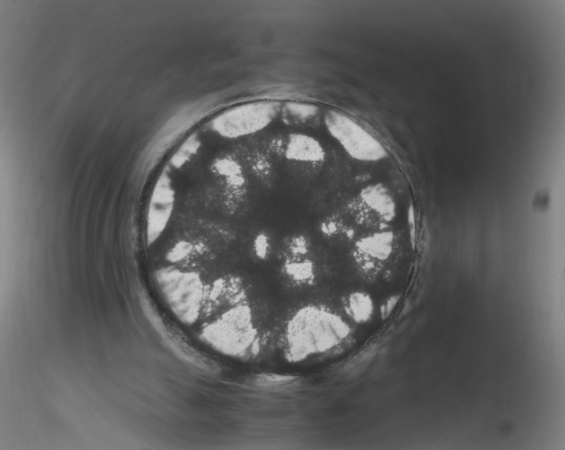 X0000116120055201001040959