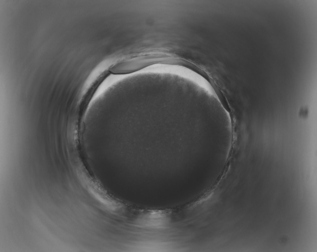 X0000116120056201001040959