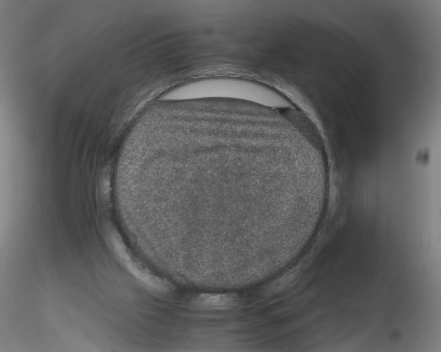 X0000116120057201001040959