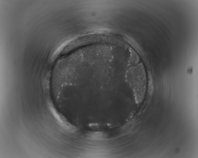 X0000116120058201001040959