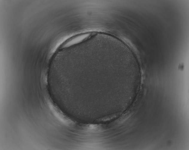 X0000116120060201001040959