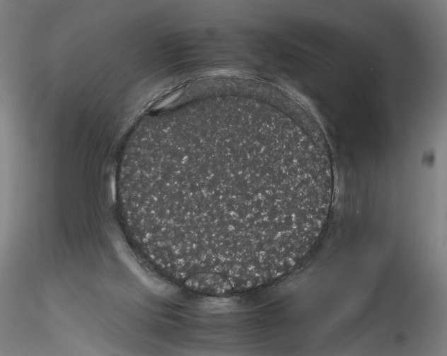 X0000116120061201001040959