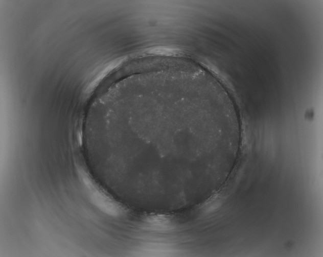 X0000116120062201001040959