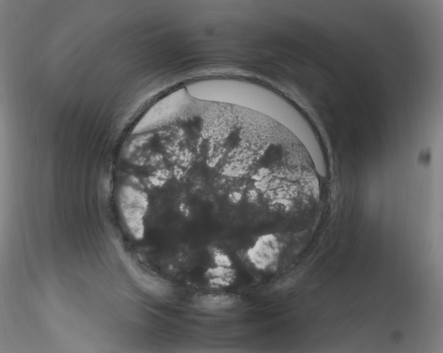 X0000116120063201001040959