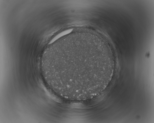 X0000116120066201001040959
