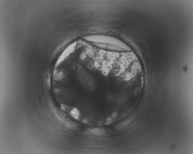 X0000116120067201001040959