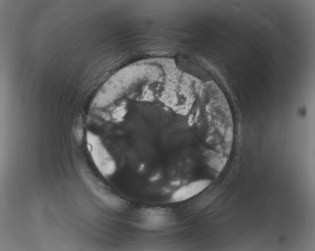 X0000116120069201001040959