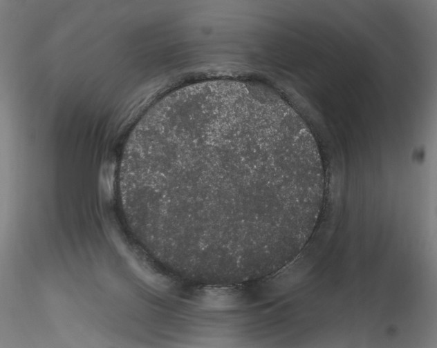 X0000116120070201001040959