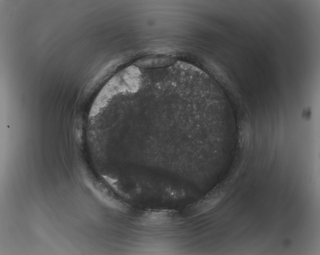 X0000116120072201001040959