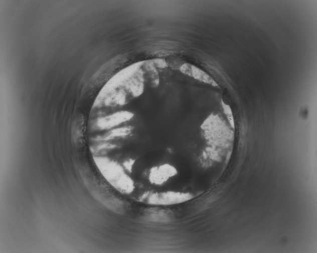 X0000116120073201001040959