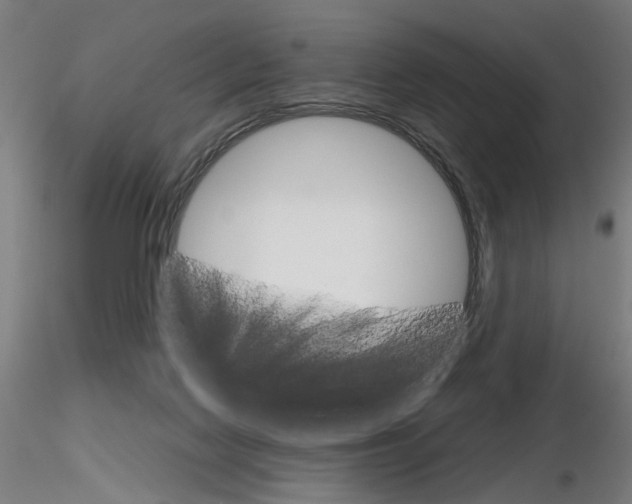 X0000116120074201001040959