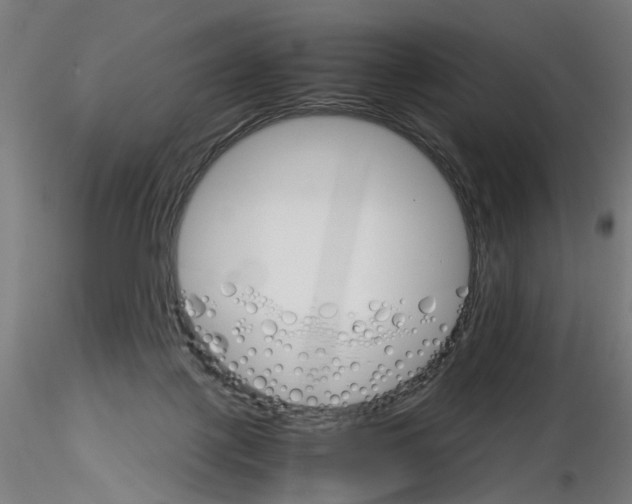 X0000116120075201001040959