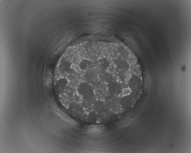X0000116120077201001040959