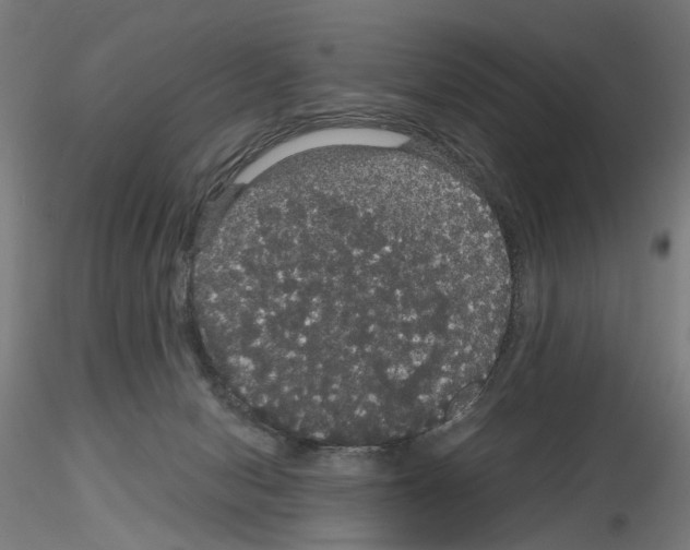 X0000116120078201001040959