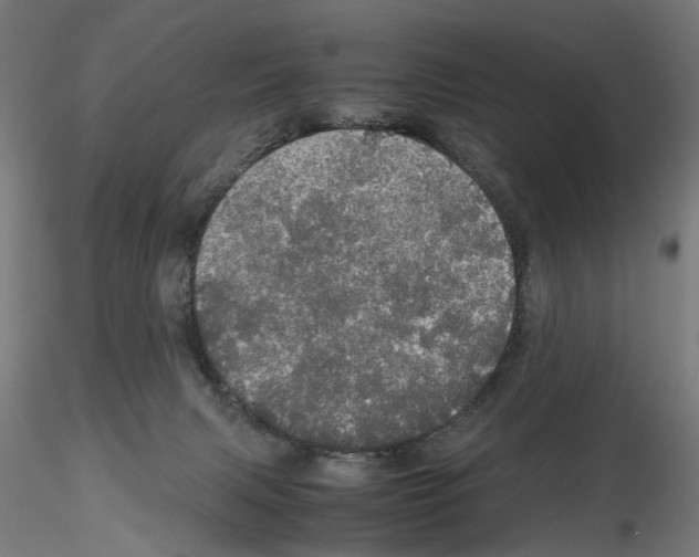 X0000116120079201001040959