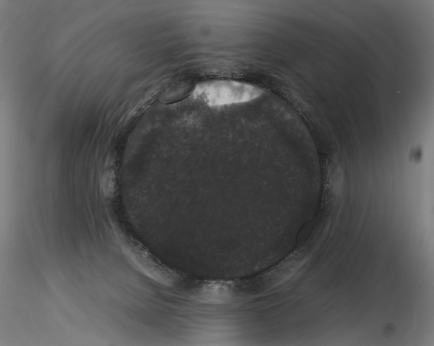 X0000116120080201001040959
