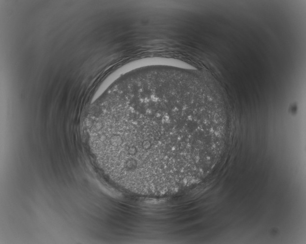 X0000116120081201001040959