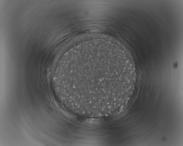 X0000116120082201001040959