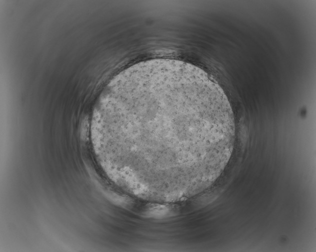 X0000116120083201001040959