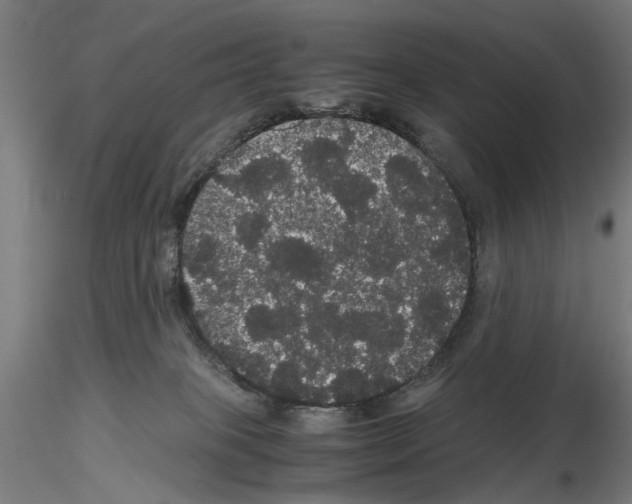 X0000116120085201001040959