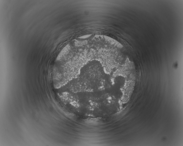 X0000116120086201001040959