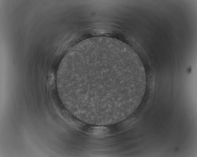 X0000116120087201001040959