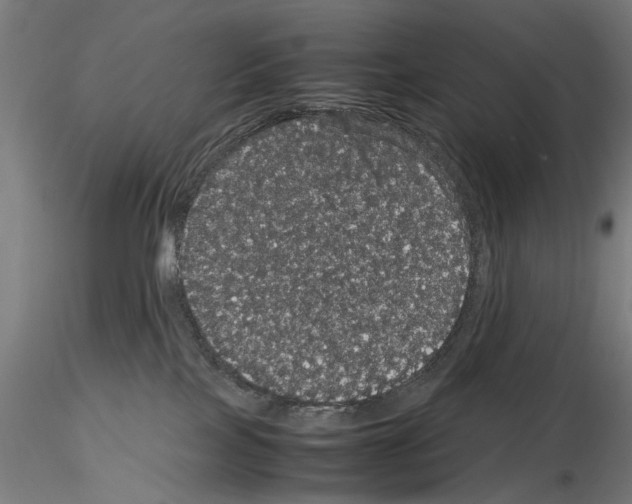 X0000116120089201001040959