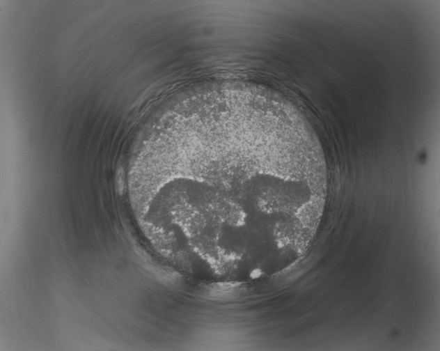 X0000116120090201001040959