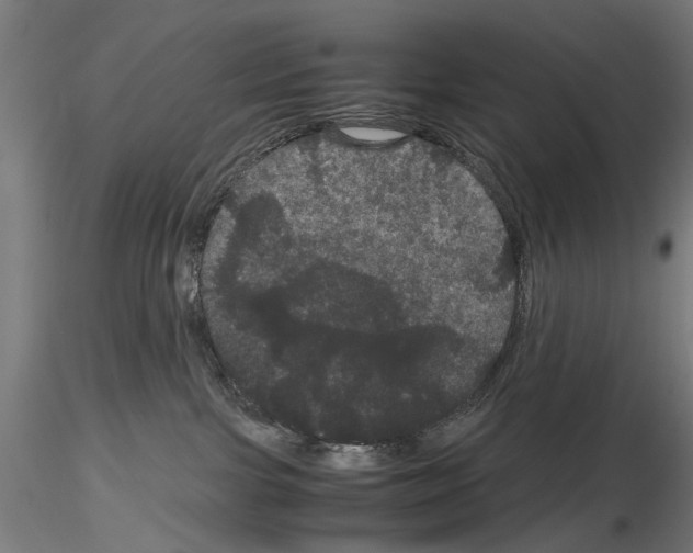 X0000116120091201001040959