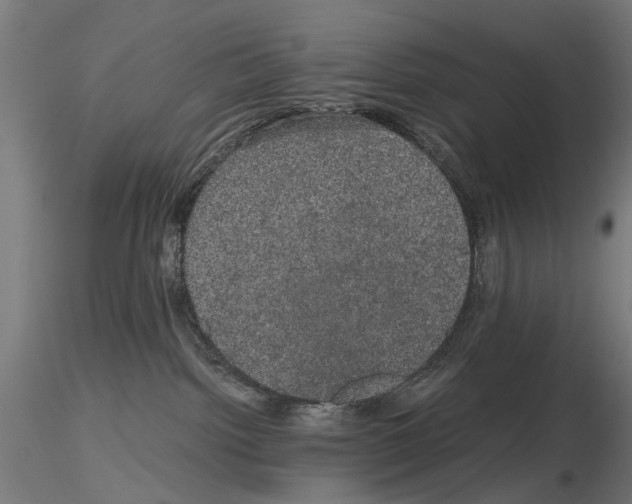 X0000116120092201001040959