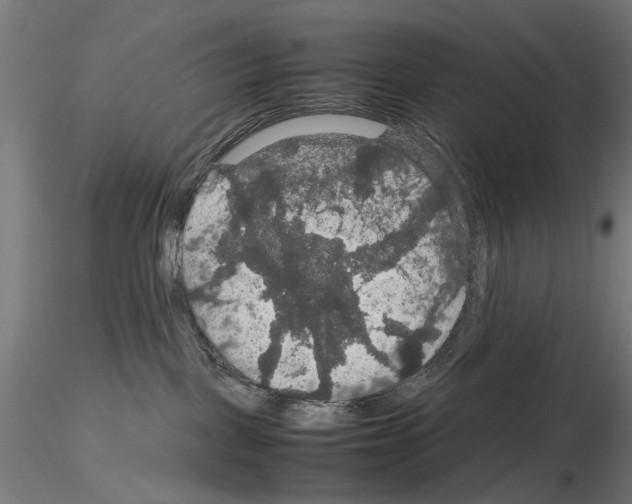 X0000116120093201001040959