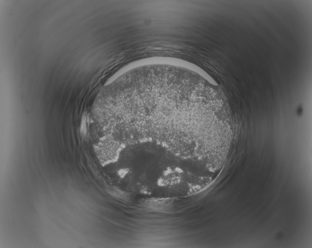 X0000116120094201001040959