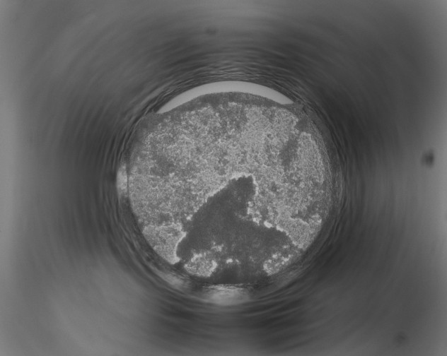 X0000116120095201001040959