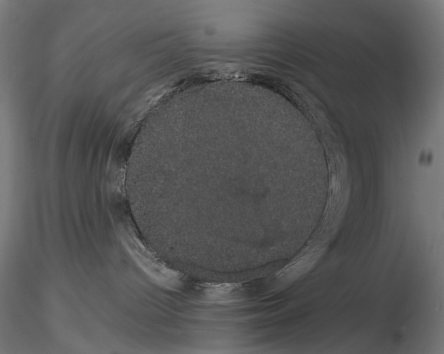 X0000116120096201001040959