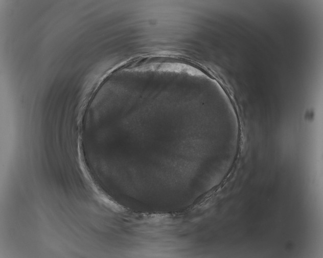 X0000116120097201001040959