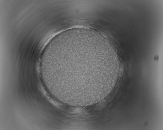 X0000116120098201001040959