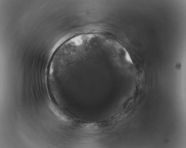 X0000116120100201001040959