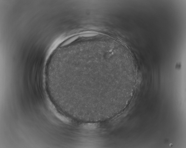 X0000116120102201001040959