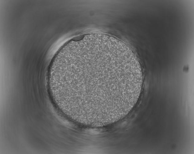 X0000116120103201001040959
